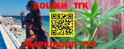 индика Будённовск
