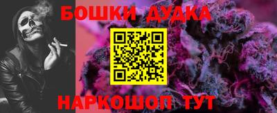 индика Будённовск