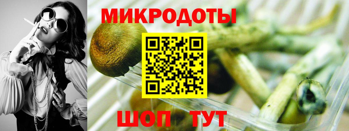 Лесосибирск  Галлюциногенные грибы Psilocybine cubensis  Вход с VPN 