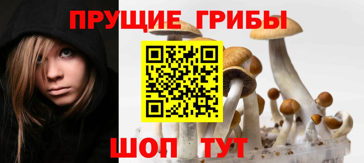 Галлюциногенные грибы MAGIC MUSHROOMS Лесосибирск